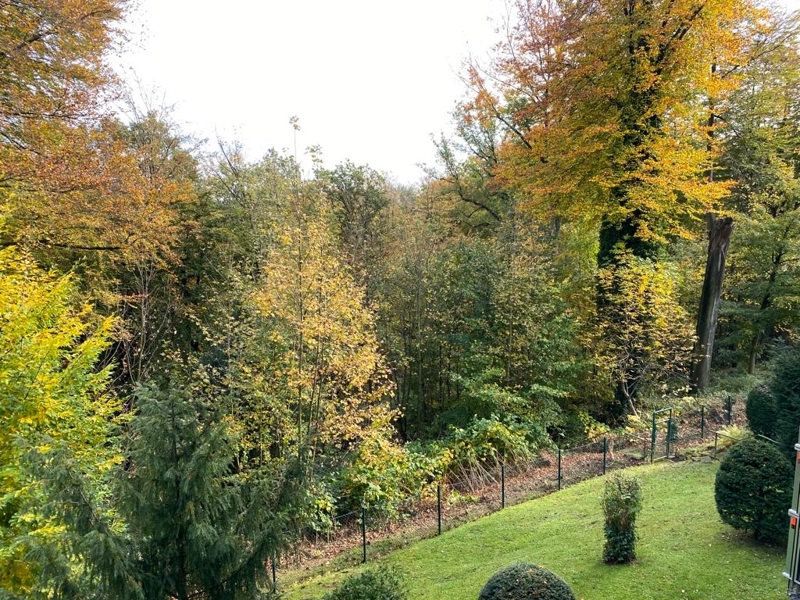 Schöne 2-Zimmer-Wohnung mit traumhaften Ausblick! 45133 Essen, Souterrainwohnung