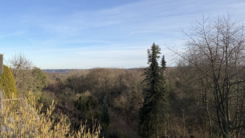 Stilvolle 3-Raum-Wohnung mit Balkon und hochwertiger Ausstattung! 45239 Essen, Erdgeschosswohnung
