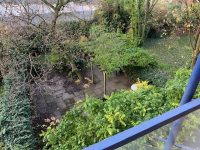 Blick in den Garten